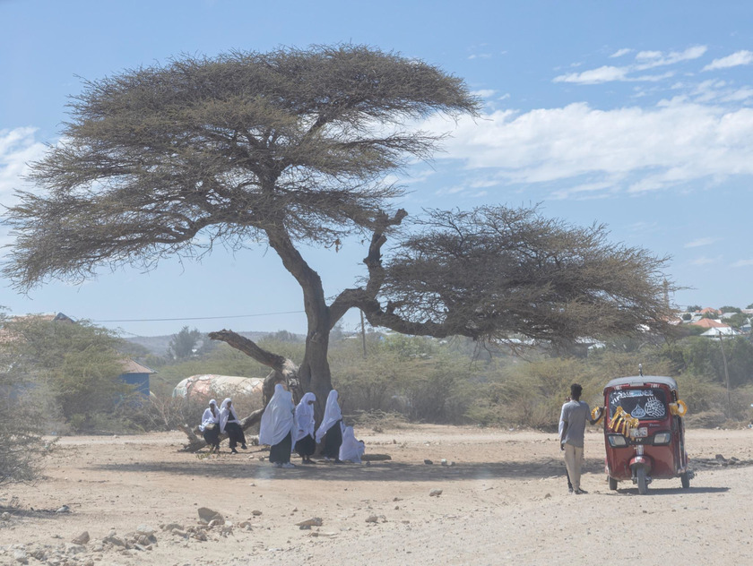 Nhiếp ảnh gia LINDOKUHLE SOBEKWA - Tổ chức UNHCR hỗ trợ những người bị ép buộc phải di dời ở Ethiopia bằng thực phẩm, nhu yếu phẩm hàng ngày và giáo dục. Các bức ảnh tập trung khai thác hoạt động cứu trợ và cuộc sống thường ngày của người dân ở quốc gia này.