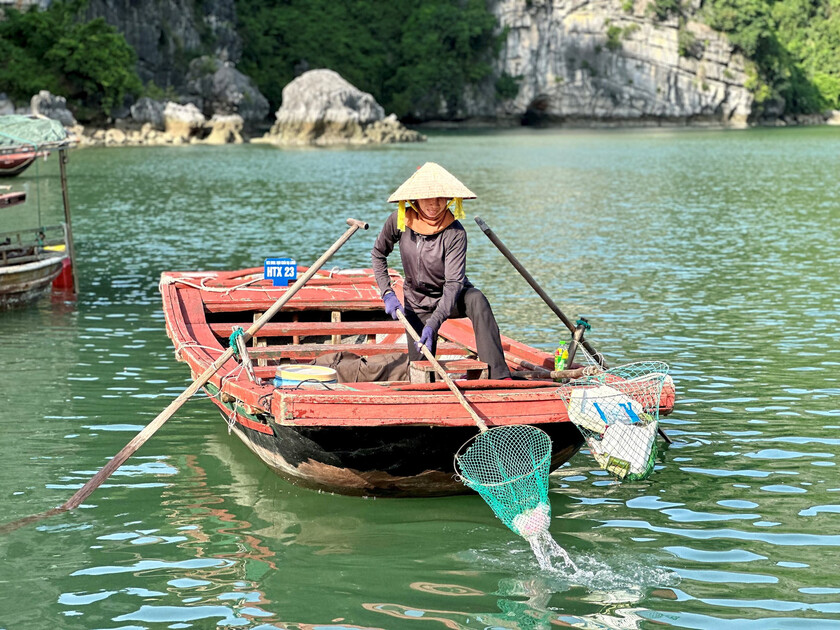 Quảng Ninh: Làm sạch vịnh Hạ Long để đón khách du lịch trở lại sau bão số 3