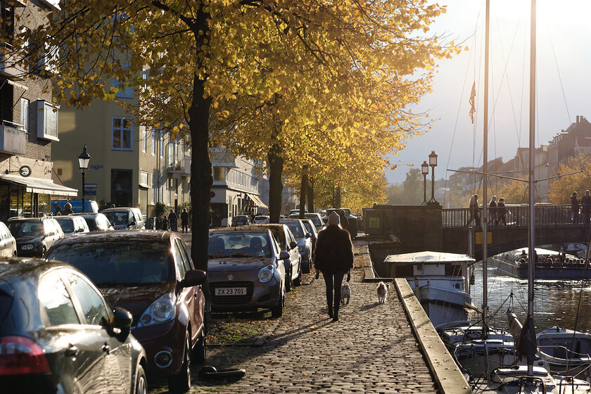 Tán lá vàng rực trải dài hai bên kênh tại Copenhagen, Đan Mạch