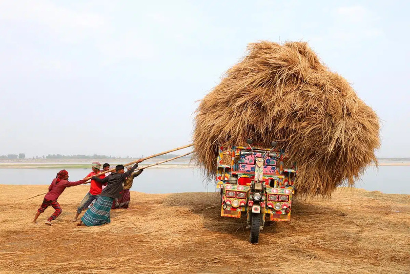 Lọt vào chung kết: 