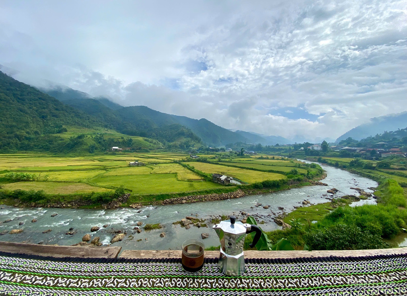 Những vạt ruộng bát ngát đang ngả màu vàng ruộm no ấm