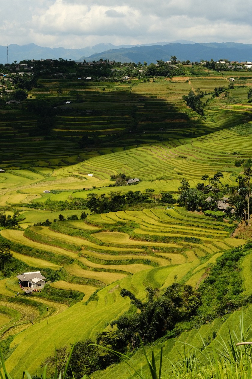 Vào mùa lúa chín vàng, du khách còn có cơ hội trải nghiệm cảm giác phiêu lưu, mạo hiểm với môn thể thao dù lượn, ngắm nhìn toàn cảnh thung lũng Tam Đường từ trên cao