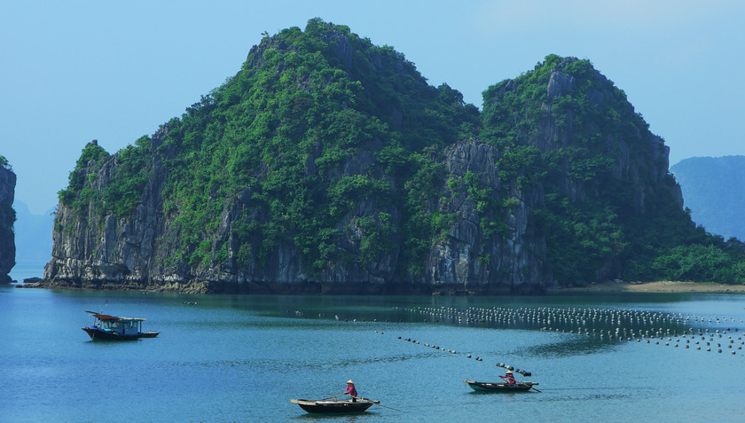 TP Hạ Long sẽ đăng cai Lễ hội Nghệ thuật vì Khí hậu (Art for Climate Halong Bay). Đáng chú ý, có hơn 200 tỷ phú USD từ châu Âu và châu Á dự kiến tham dự