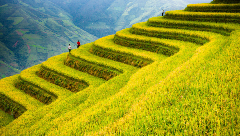 Việt Nam, với vẻ đẹp tự nhiên trù phú và nền văn hóa đa dạng, đang ngày càng trở thành điểm đến hấp dẫn du khách quốc tế