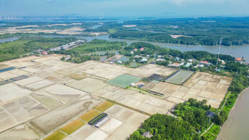 Những cánh đồng muối - đặc sản đảo ấp Thiềng Liềng