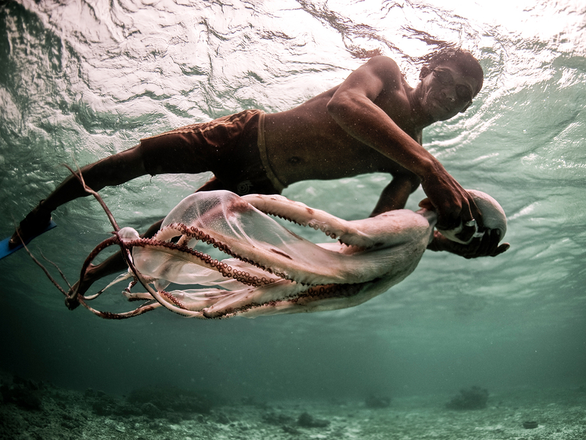 Người Bajau Laut có lá lách lớn hơn so với người bình thường