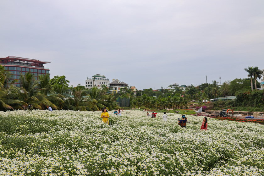 Thung lũng hoa thu hút nhiều du khách đến chiêm ngưỡng