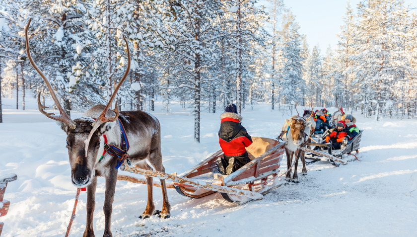 Lớp tuyết mỏng, thiếu tuyết nghiêm trọng đã khiến cho hình ảnh quen thuộc của Lapland bị phá vỡ