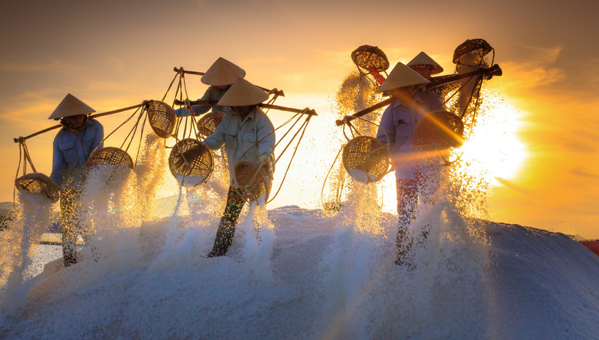 Nghề làm muối Sa Huỳnh, một nghề thủ công truyền thống đặc sắc tại thị xã Đức Phổ, tỉnh Quảng Ngãi, là Di sản Văn hóa phi vật thể quốc gia