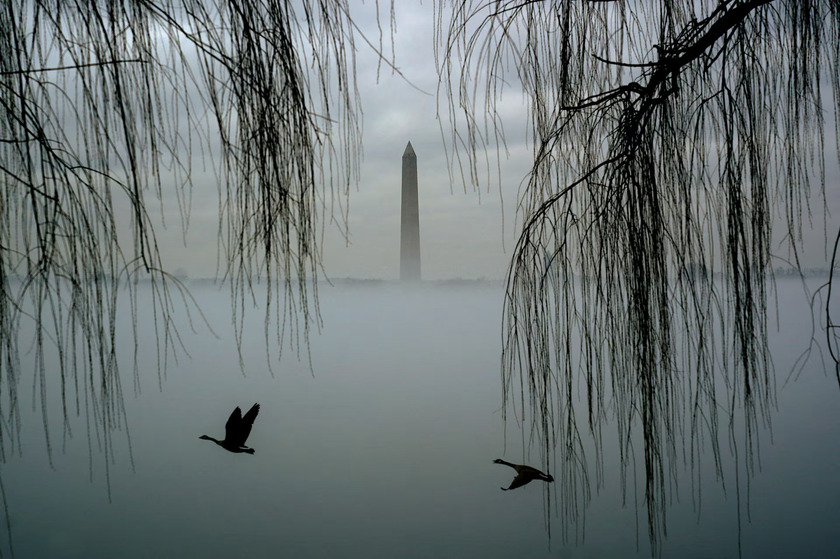 Những con ngỗng bay qua khi Đài tưởng niệm Washington nổi lên trên sương mù bao phủ sông Potomac vào một ngày ấm áp bất thường ở Washington