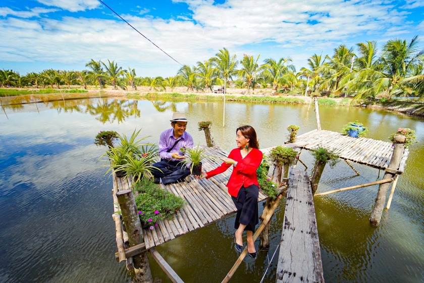 Nằm nép mình bên cù lao Hòa Minh, Cồn Chim nhìn từ trên cao trông giống một chú chim nhỏ đang sà xuống săn mồi