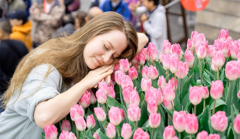 Du khách có thể mang về những bức ảnh check in tuyệt đẹp với rừng hoa tulip