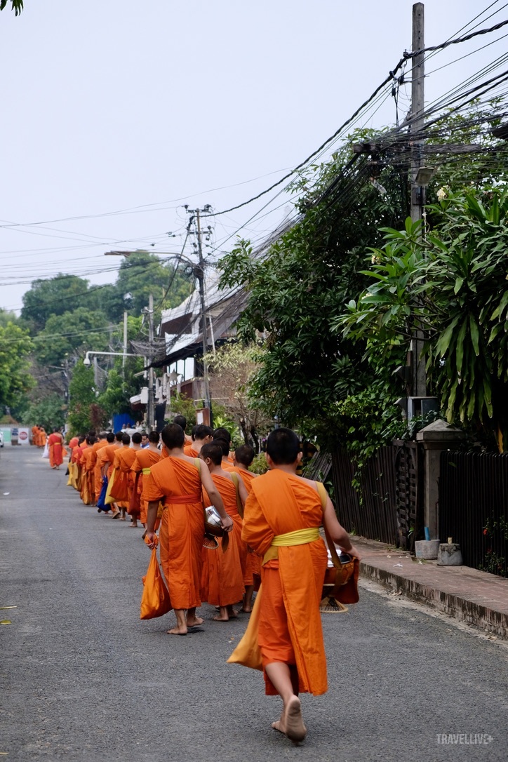 Hình ảnh các sư nối đuôi nhau dọc khắp lối đi