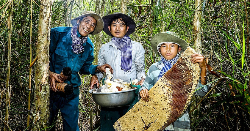 Mỗi thợ “ăn ong” sau mùa gác kèo thu về hàng trăm lít mật