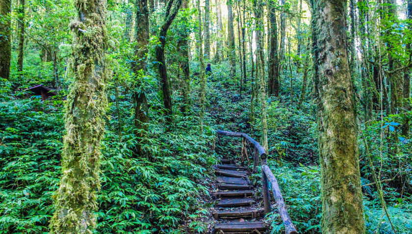 Du khách có thể bắt đầu chuyến trekking theo đường mòn bên trong công viên để chiêm ngưỡng vẻ đẹp hùng vĩ của núi đồi nơi đây