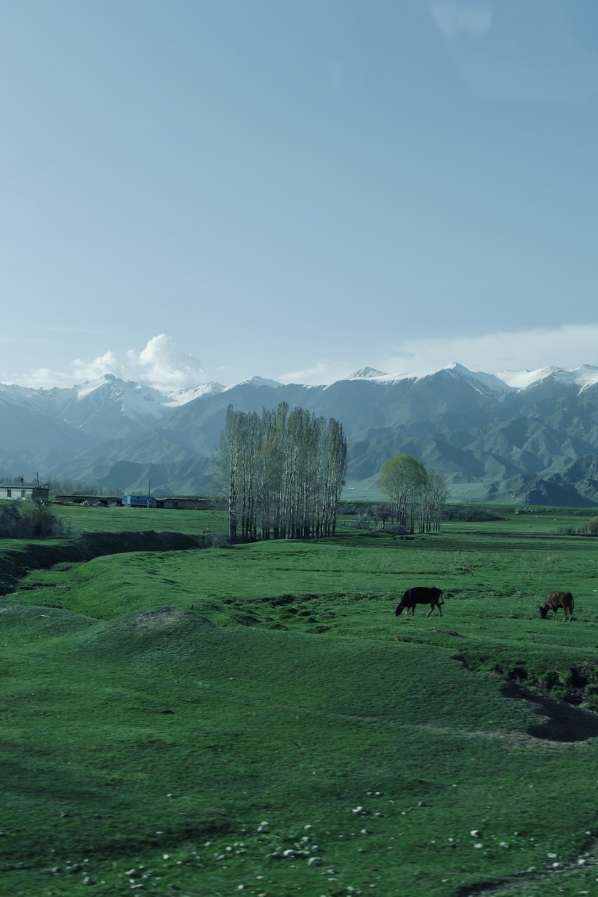 Đường từ Karakol tới Jyrgalan