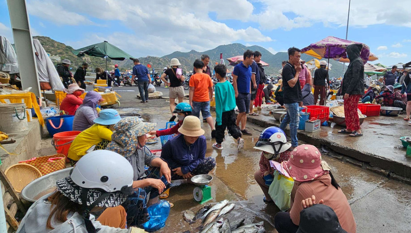 Chợ Nại, nằm tại thị trấn Khánh Hải, Ninh Hải, Ninh Thuận, là một trong những chợ hải sản đẹp nhất khu vực