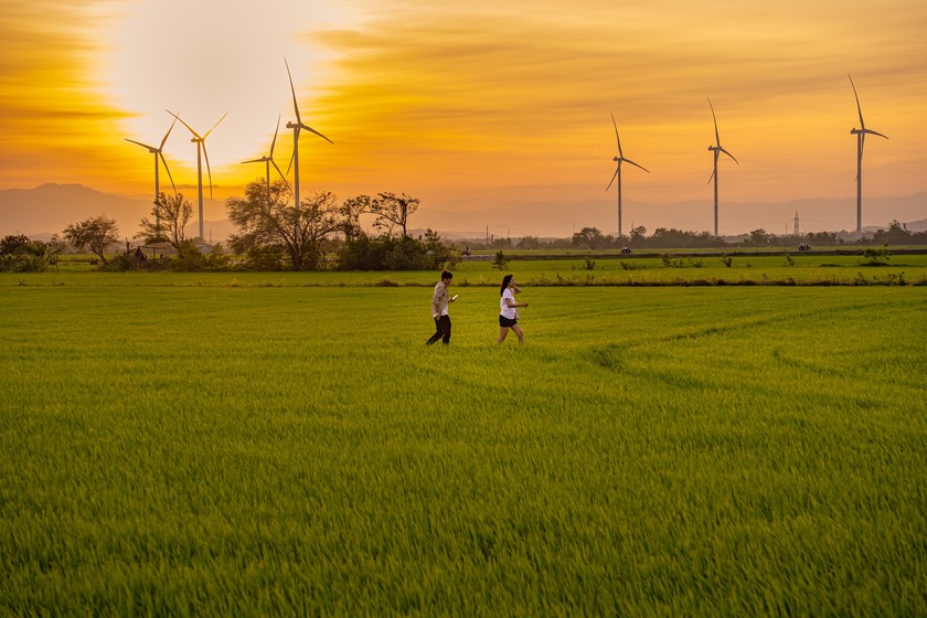 Cánh quạt quay đều, nhịp nhàng, tạo nên một bản giao hưởng của gió, của âm thanh hiện đại, và của khát vọng chinh phục thiên nhiên