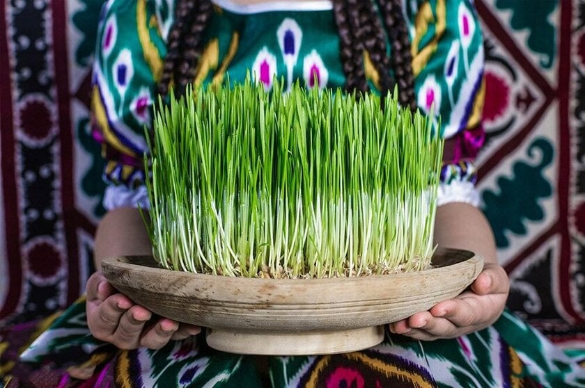 Sabzeh (mầm xanh), hình ảnh biểu tượng của Tết Nowruz, tượng trưng cho sự sinh sôi, tái sinh và sức sống