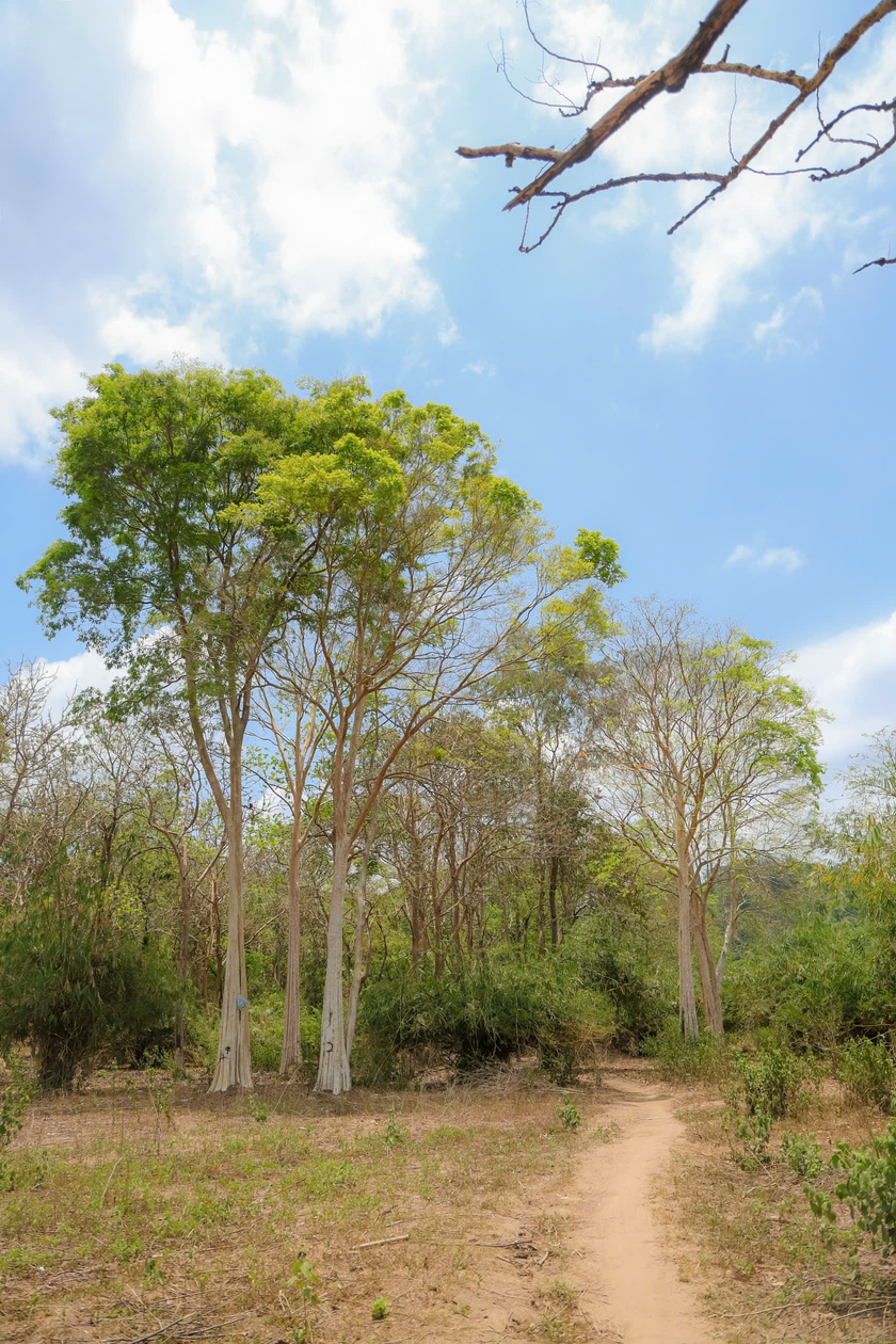 Khung cảnh ấn tượng trên đoạn đường trekking