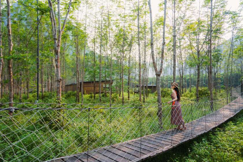 Hệ thống cầu gỗ trên cao kết nối các khu cắm trại, tránh ảnh hưởng đến hệ sinh thái