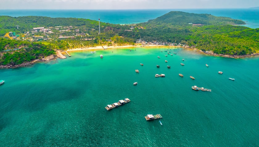 Nếu bị sứa đốt, cần rửa bằng nước biển, không dùng nước ngọt, và đến cơ sở y tế gần nhất để được xử lý kịp thời