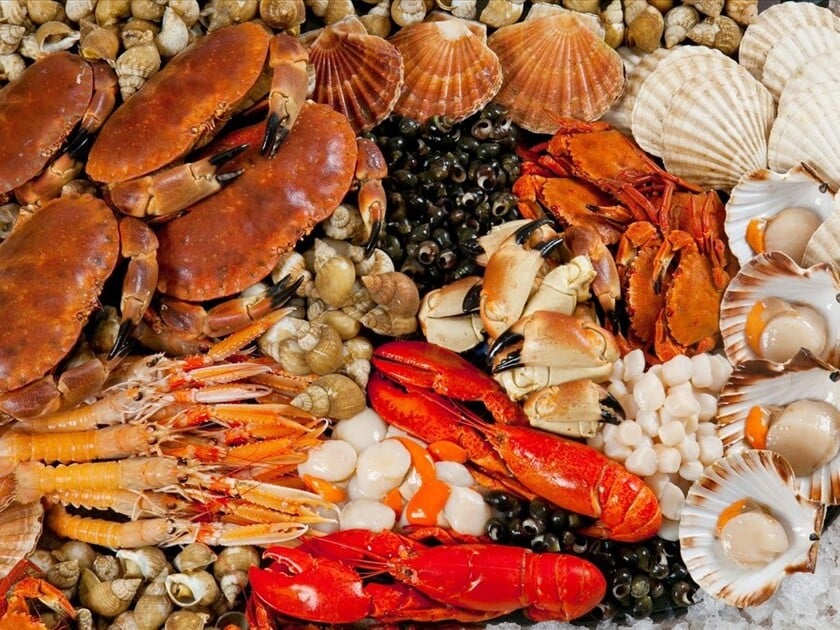 Hải sản tươi ngon của Lý Sơn