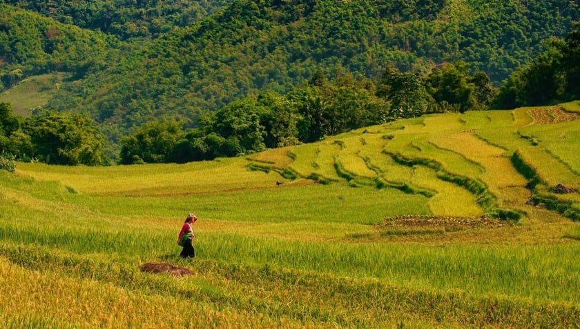 Pù Luông mang đậm nét đẹp của miền núi cao Tây Bắc với ruộng bậc thang lớp lớp, mây núi trùng điệp, mang nét đẹp mờ ảo, hoang sơ đến mê người