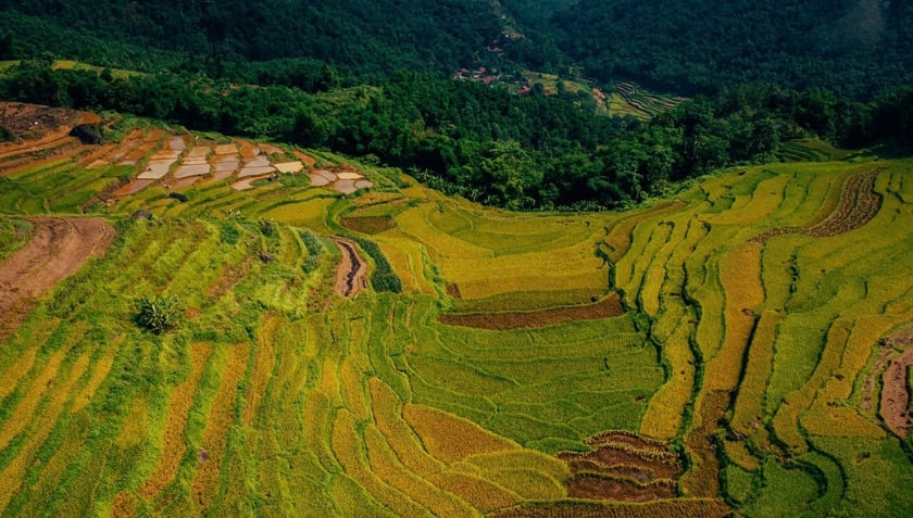Mặc dù đang vào hè nhưng thời tiết tại Pù Luông không quá nóng, lý tưởng cho mọi hoạt động, vừa có thể thả bộ hít thở không khí trong lành của vùng rừng núi vừa ngắm những ruộng lúa từ trên cao, ngắm trọn khung cảnh đẹp mê hồn của Pù Luông