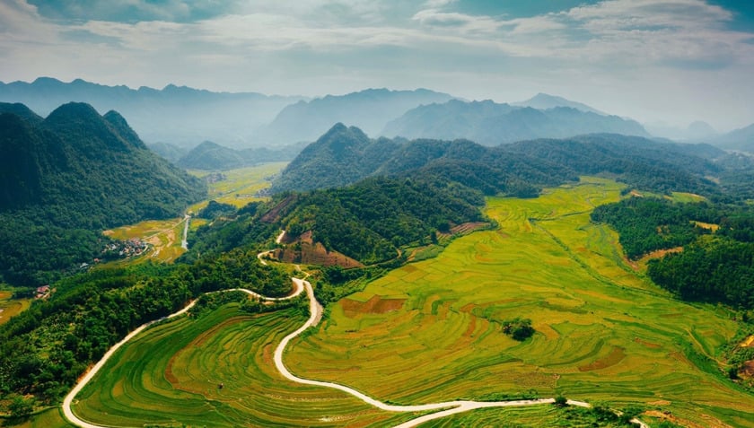 Ruộng bậc thang Pù Luông vào mùa lúa chín vàng rực, uốn lượn quanh triền núi như dải lụa óng ả giữa núi rừng Thanh Hóa