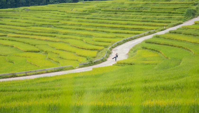 Với diện tích 17.662 ha, Pù Luông là vùng đất có rừng rậm, suối thác lớn nhỏ, hang động và núi non xen lẫn những bản làng yên bình