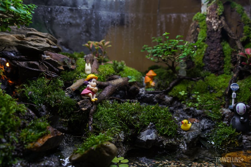Mỗi chiếc hộp terrarium giống như một vùng đất ẩn chứa những câu chuyện của thiên nhiên.