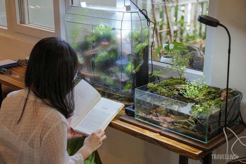 Những góc thưởng thức cà phê, đọc sách và ngắm nhìn những hộp terrarium.