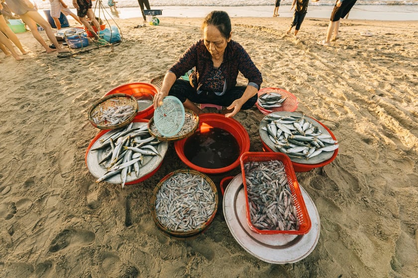Những mẻ hải sản tươi rói