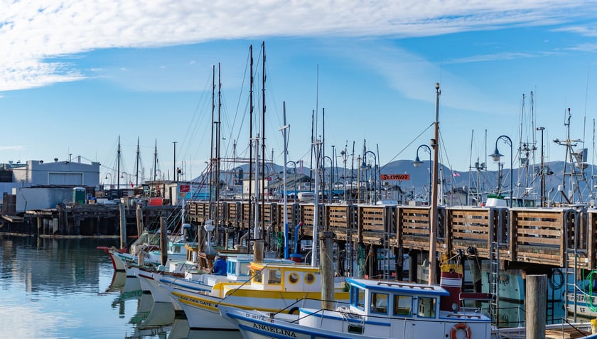 Fisherman’s Wharf không chỉ là biểu tượng du lịch của San Francisco mà còn là nơi du khách cảm nhận trọn vẹn nhịp sống ven biển nước Mỹ