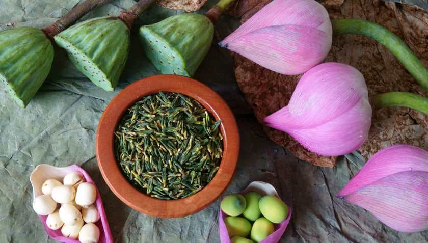 Để làm ra được 1kg, người nghệ nhân cần đến 1000 bông sen và phải trải qua 7 lần tẩm ướp với quy trình rất kỳ công, tỉ mỉ