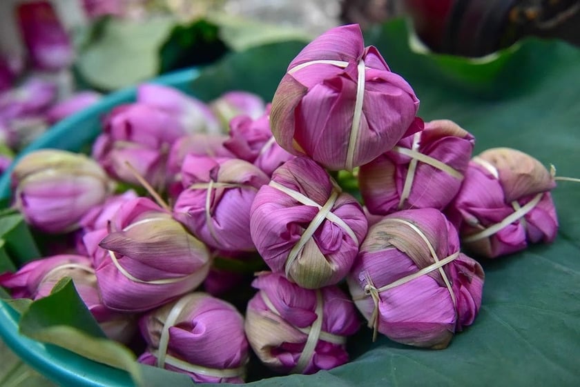 Nghề làm trà sen chỉ có mùa vụ lại cầu kỳ, tốn công sức nên hiện nay ở Hà Nội số nghệ nhân gắn bó với nghề này cũng chỉ đếm trên đầu ngón tay