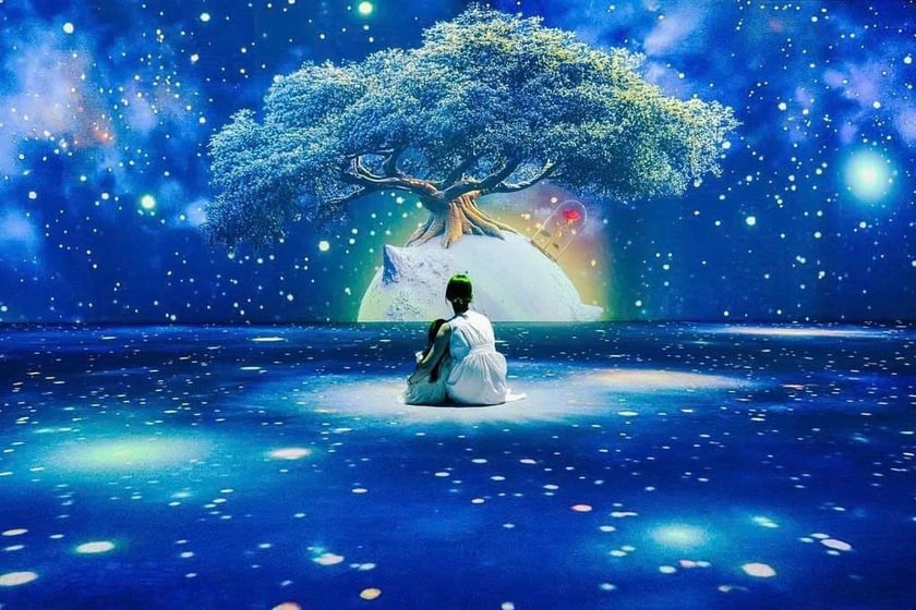 Triển lãm tương tác “The Little Prince: The Journey of Stars” dẫn dắt du khách ở mọi lứa tuổi bước vào hành trình giàu cảm xúc giữa vũ trụ