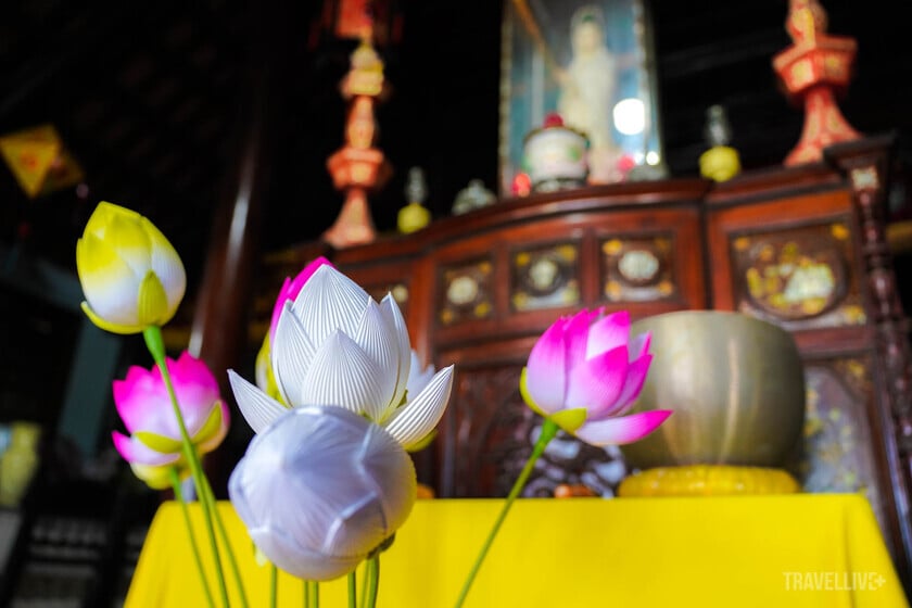 Hoa giấy Thanh Tiên được người xưa dùng làm hoa thờ cúng, mang vẻ thành kính, trang nghiêm.