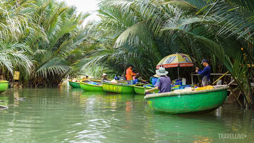 Rừng dừa Bảy Mẫu được ví như sông nước thu nhỏ miền Tây