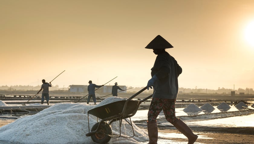 Nghề làm muối dường như đã gắn liền và thấm nhuần vào trong đời sống sinh hoạt của người dân nơi đây