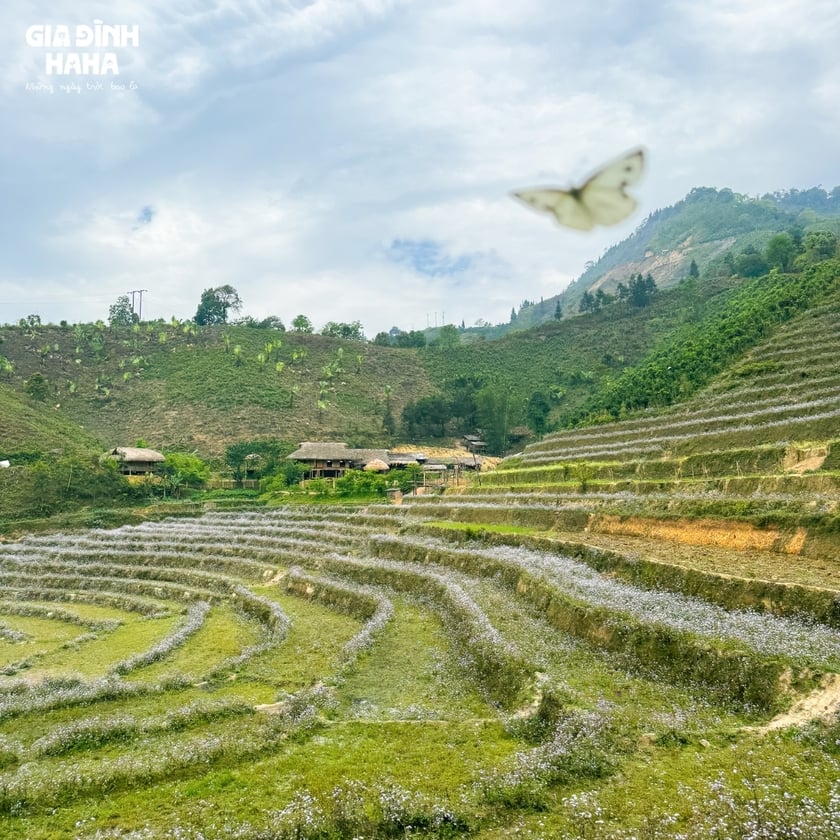 Một Tây Bắc bình yên