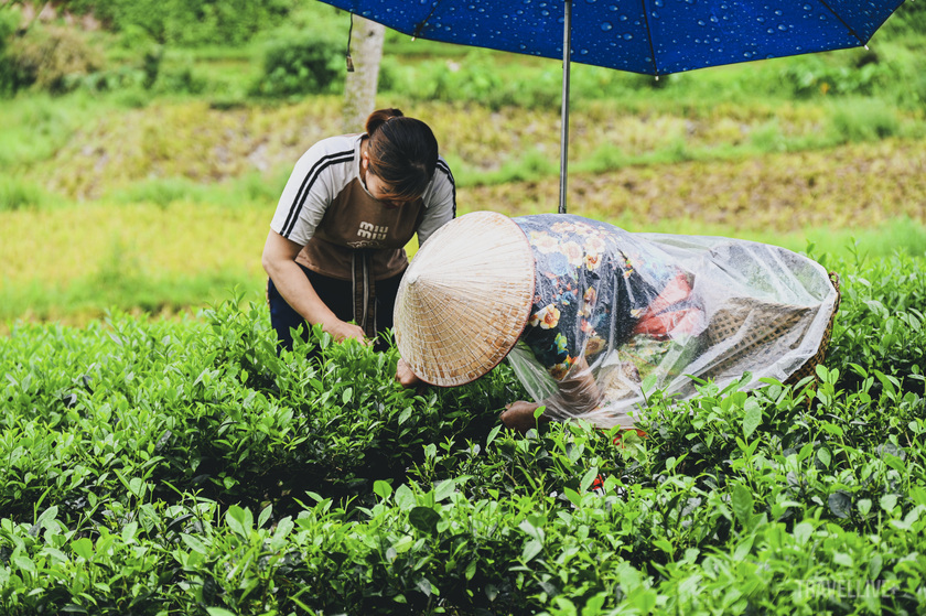 Du khách sẽ được miễn phí hoàn toàn các hoạt động trải nghiệm
