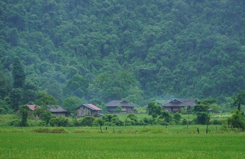Nhiều người còn gọi vui đây là ngôi làng
