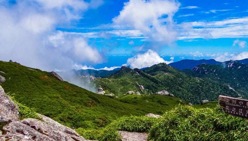Trở về với những giá trị nguyên sơ tại đảo Yakushima
