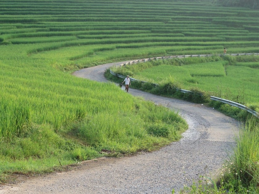 Con đường chữ S biểu tượng của Pù Luông