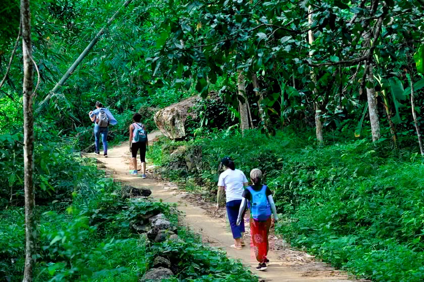 Trekking chinh phục đỉnh Pù Luông