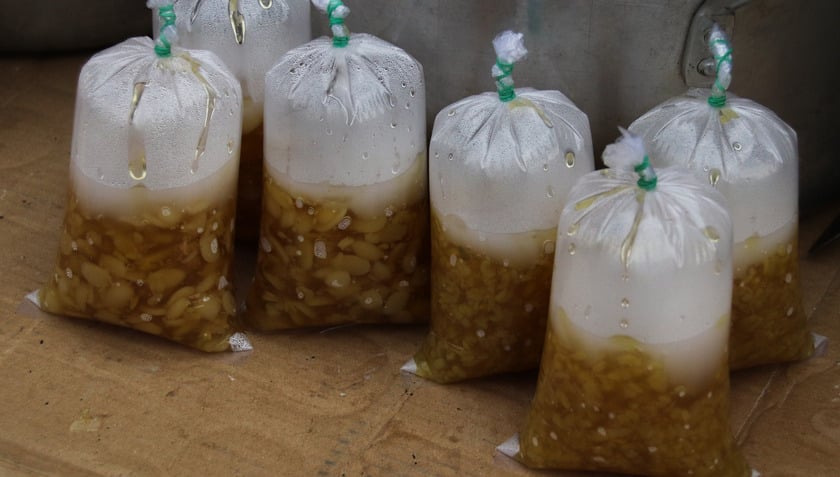 Bát chè quê vẫn được giữ gìn không chỉ bởi thói quen ẩm thực, mà bởi lòng người chưa bao giờ quên cái gốc tự nhiên của mình