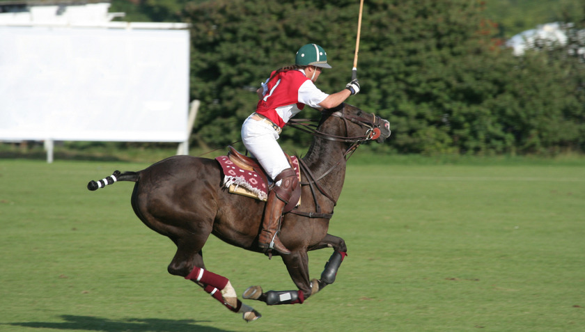 Vì thế, các giải đấu polo không chỉ là sự kiện thể thao, mà còn là biểu tượng của sự xa hoa với những chiếc máy bay riêng của du khách và những buổi tiệc hoành tráng trong khu vườn rộng lớn tuyệt đẹp
