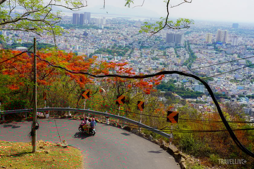 Khung cảnh Vũng Tàu và hoa phượng nhìn từ núi Nhỏ